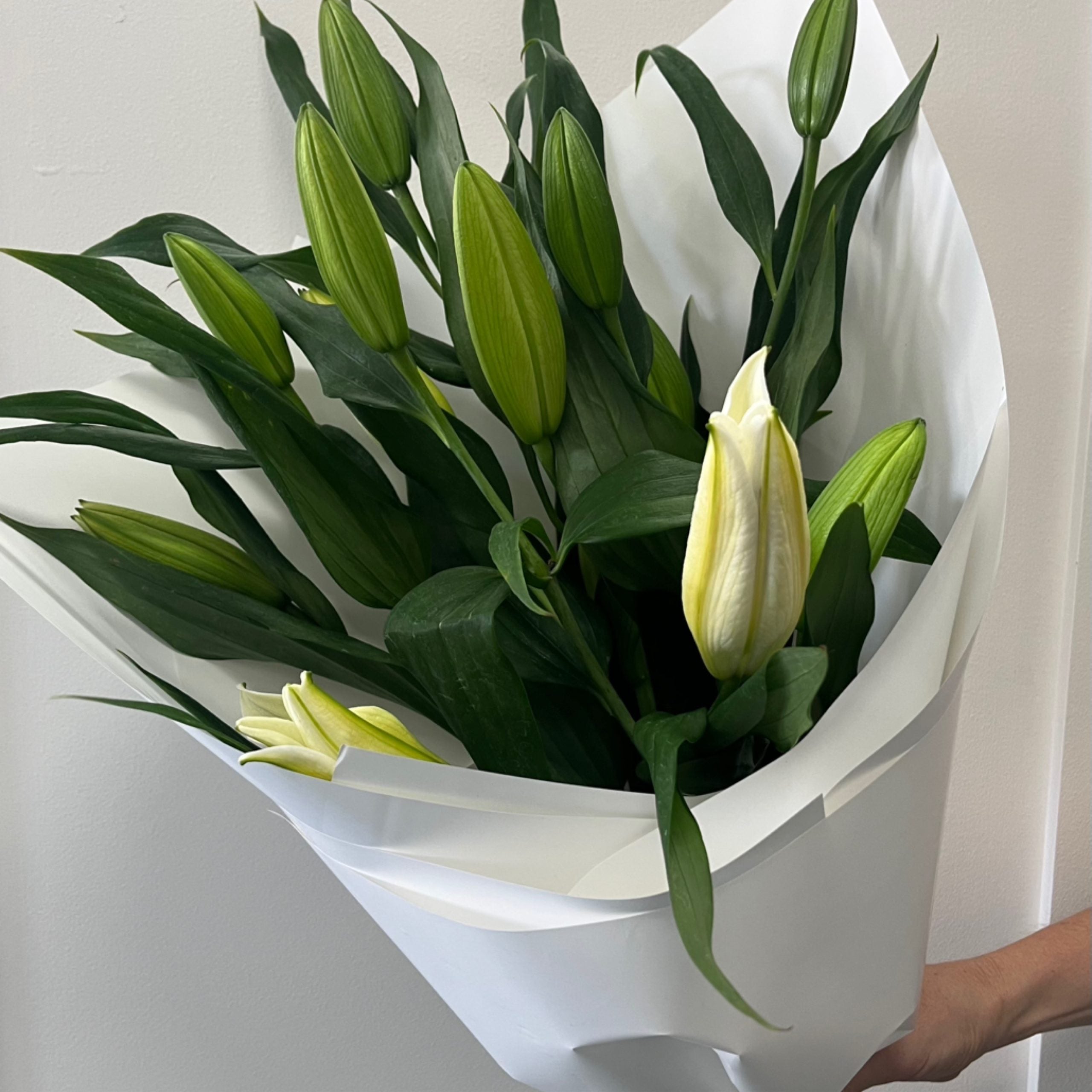 Daily Blooms- Lilies