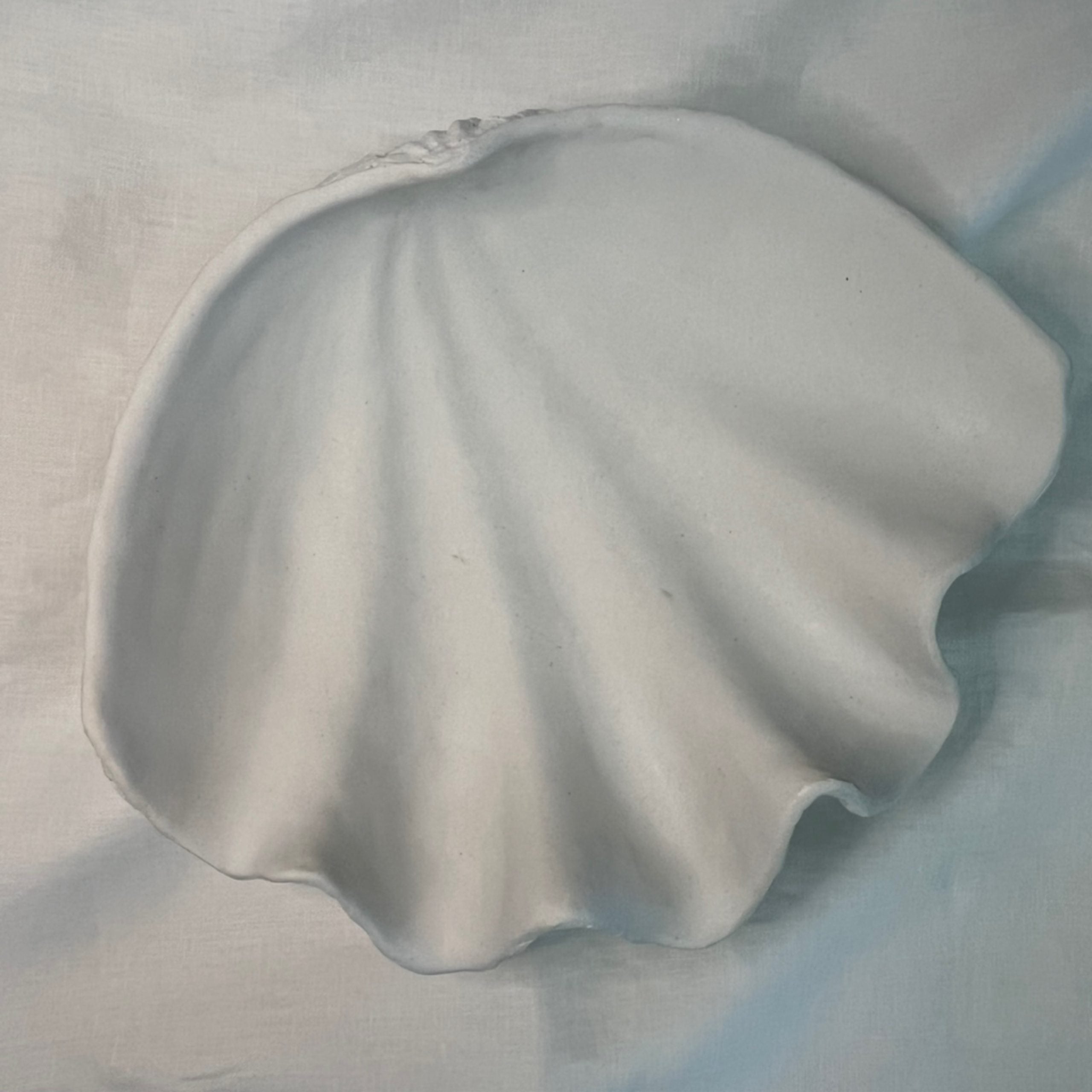 Clam shell
