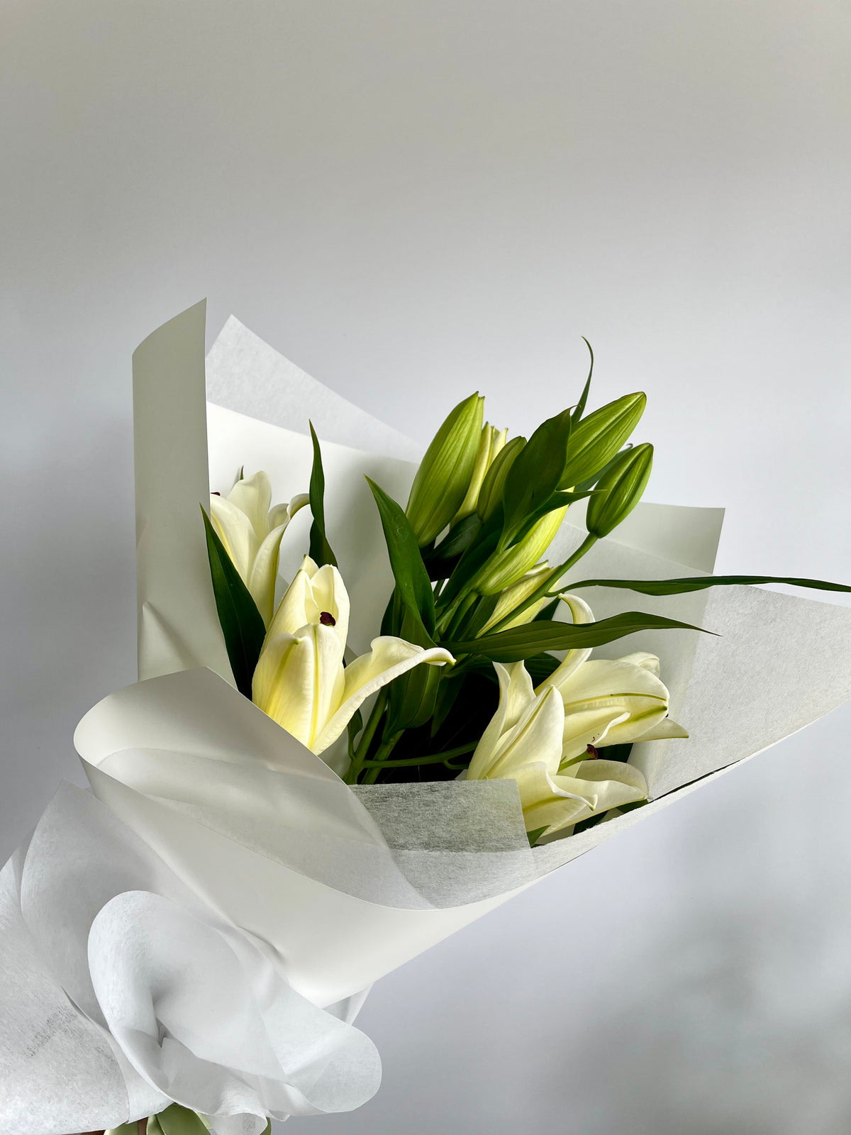 Daily Blooms- Oriental Lilies