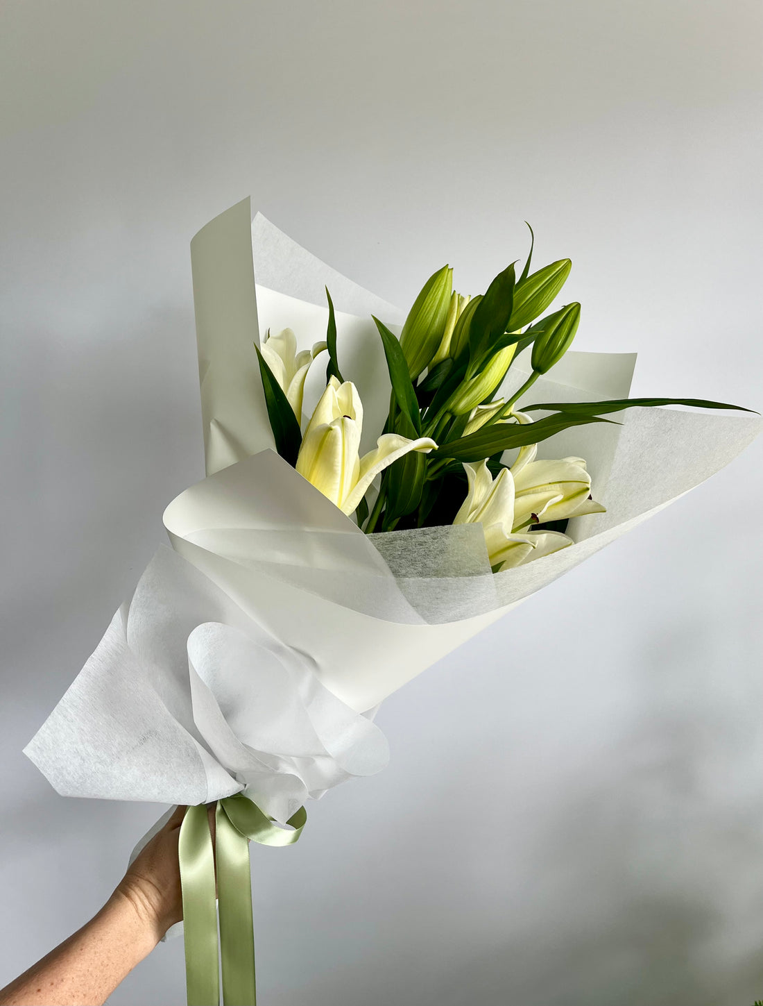 Daily Blooms- Oriental Lilies