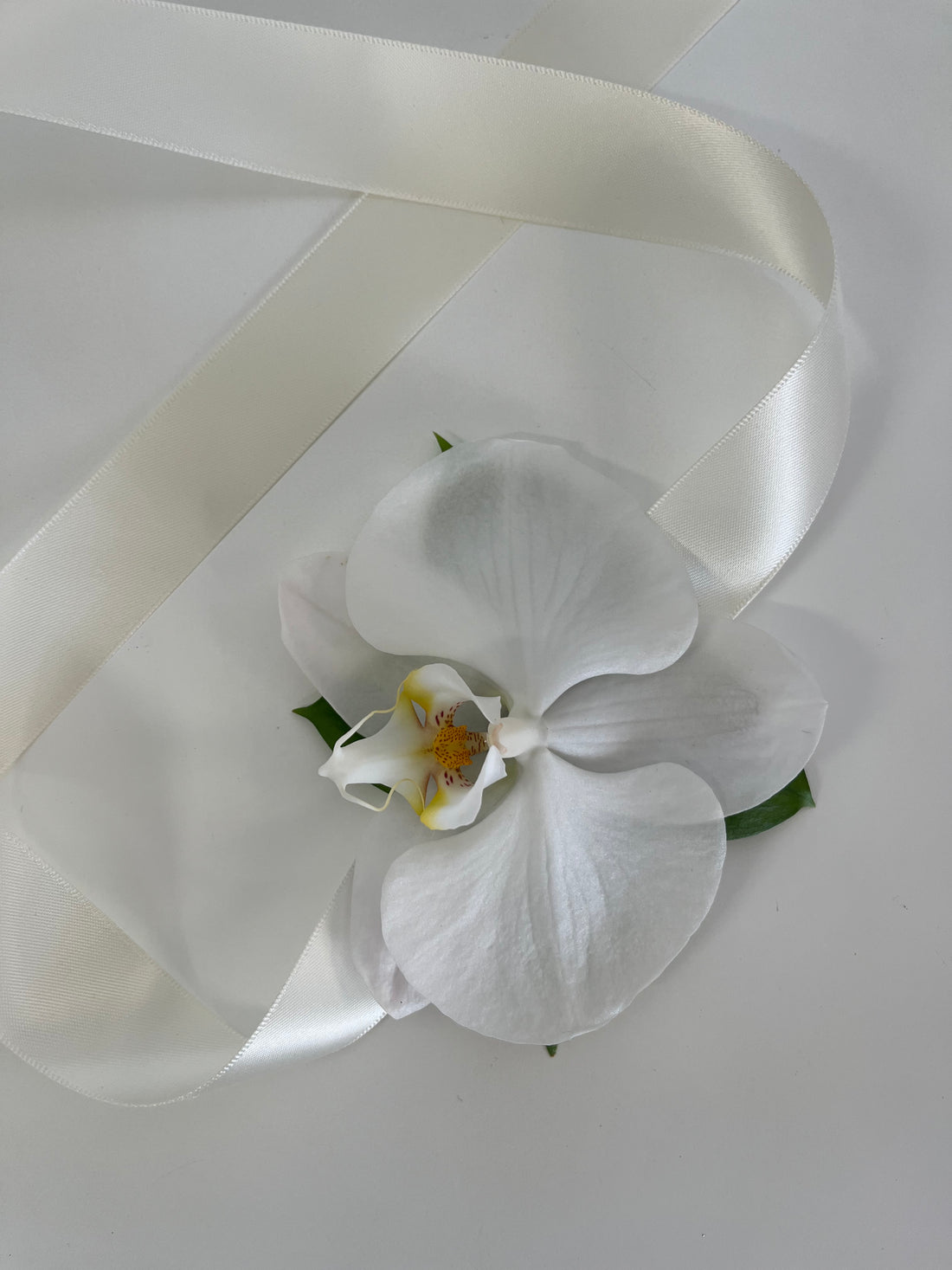 Wrist Corsage Orchid