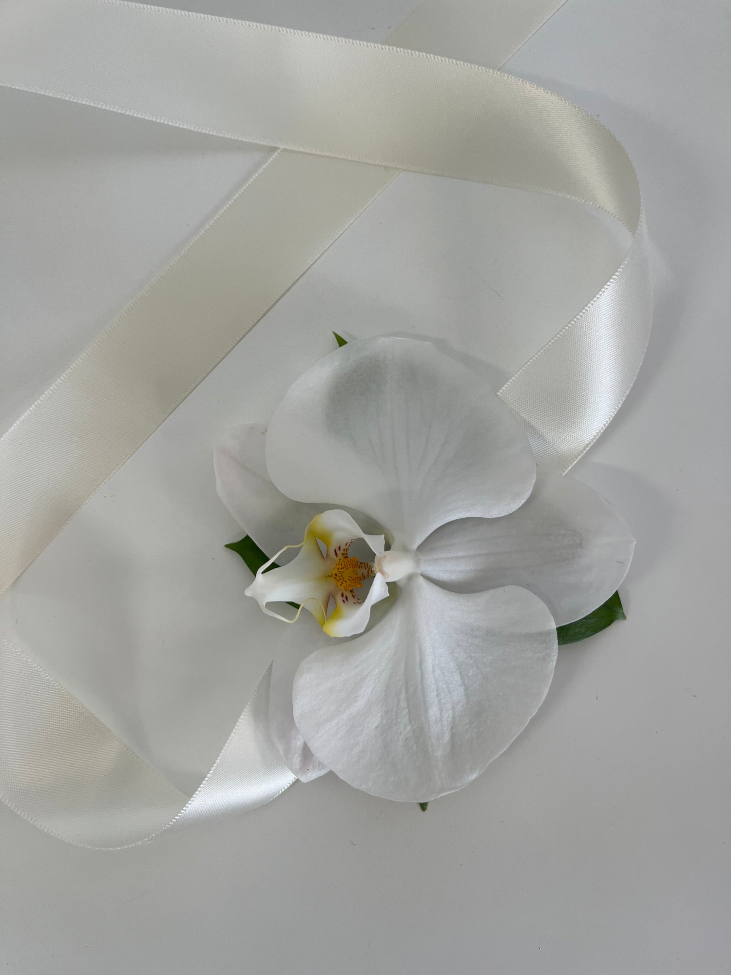 Wrist Corsage Orchid