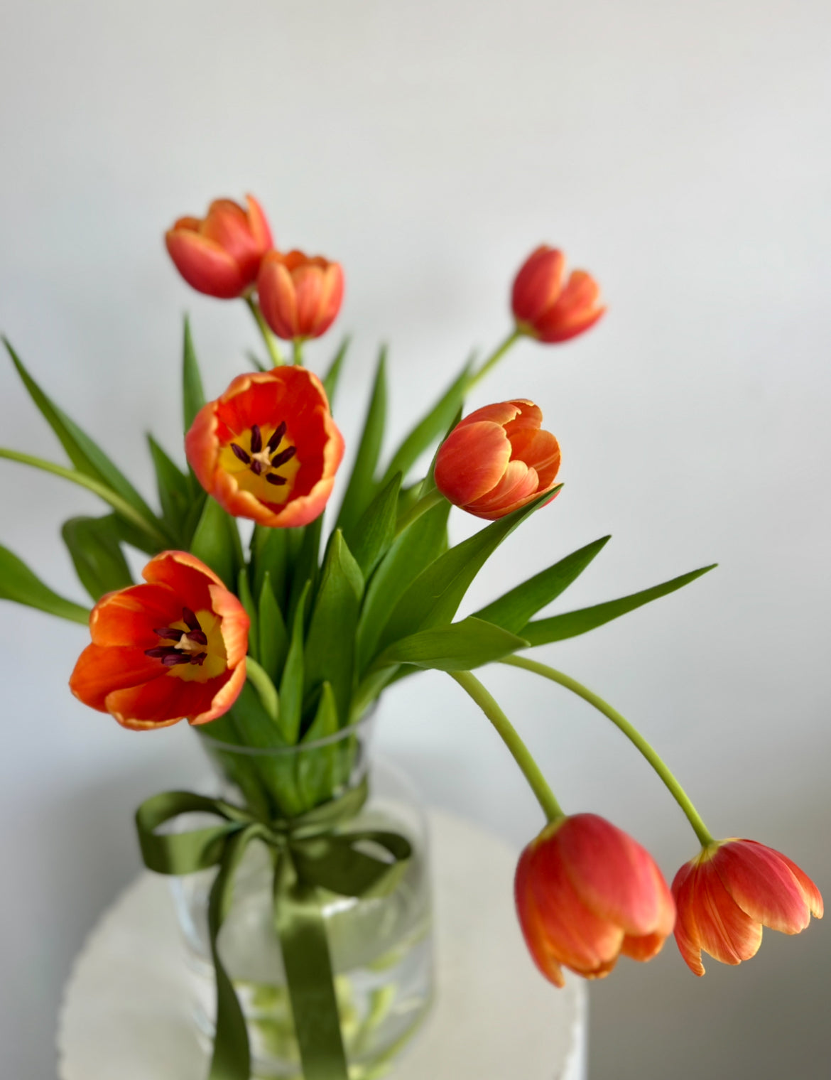 Tulip Posy