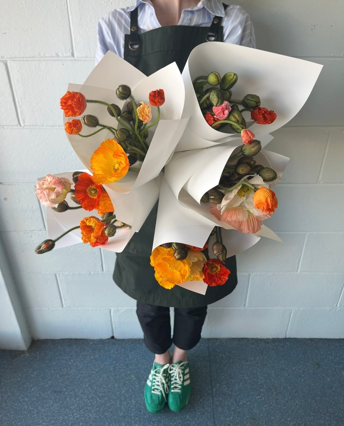 Poppy Posy