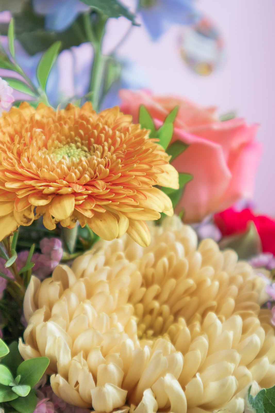 Pretty Posey - Florist Choice