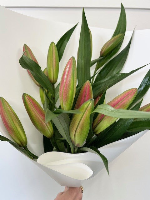 Daily Blooms- Lilies