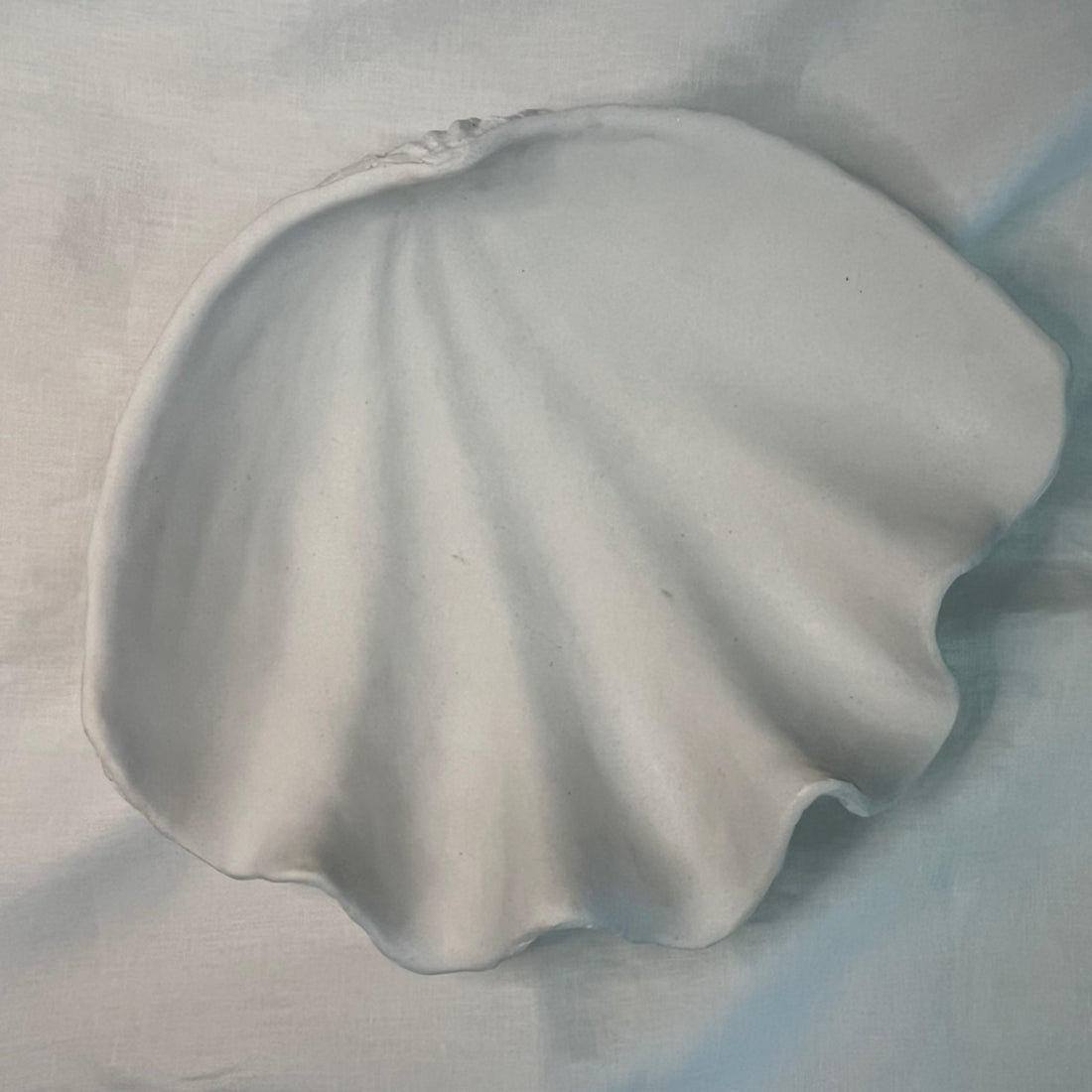 Clam shell